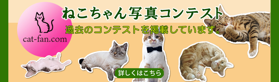 cat-fanサイトバナー