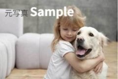 元写真　子供と犬